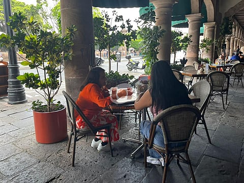 En revisión techumbres de establecimientos en el Centro Histórico de Morelia: Sedum