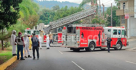 Ataque de abejas en Uruapan deja seis personas hospitalizadas; una está inconsciente