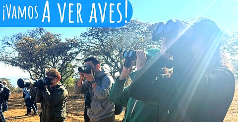 ¡Conecta con la naturaleza! Este domingo, caminata en bosque de Morelia para ver aves