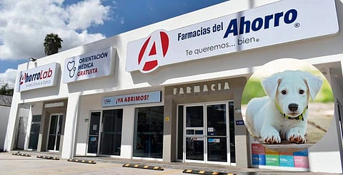 ¡También para los lomitos! Farmacias del Ahorro lanza servicio veterinario gratuito 