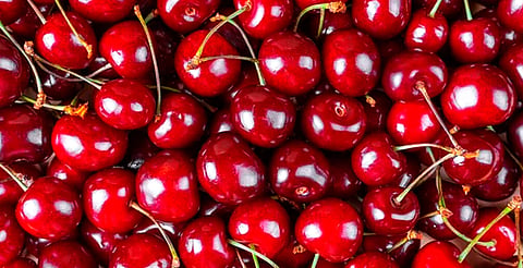 Digestivo, antioxidante y ayuda a conciliar el sueño entre los beneficios que ofrecen las cerezas