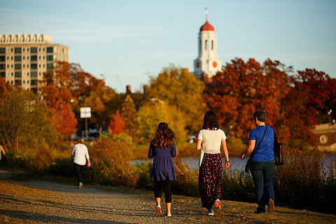 Harvard cierra oficinas de diversidad tras presiones de Trump