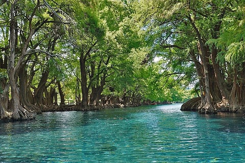 Escápate este verano al lago de Camécuaro, joya natural de Michoacán: Sectur