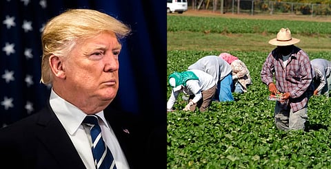 Trump reconoce que migrantes deportados son difíciles de reemplazar 