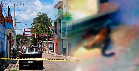 Hallan jaguar asesinado a balazos y explosivos en casa de Jacona