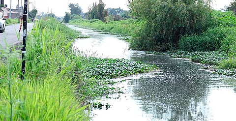 Nivel de los Ríos y drenes de Morelia se mantienen bajo monitoreo tras lluvias: Ooapas 