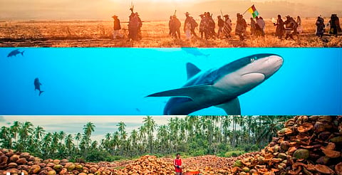 Fotografía, naturaleza y cultura: así es la exposición ‘Los diferentes mundos que habitan en México’