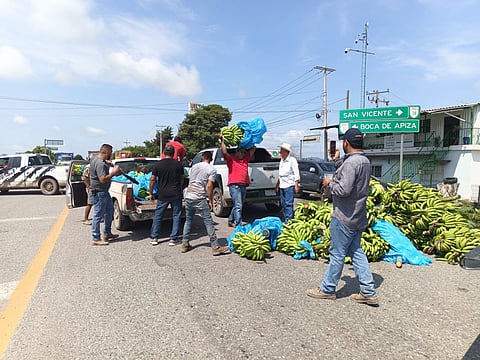 Productores de plátano en Coahuayana, Michoacán, se unen a protesta por bajos precios y desatención al campo