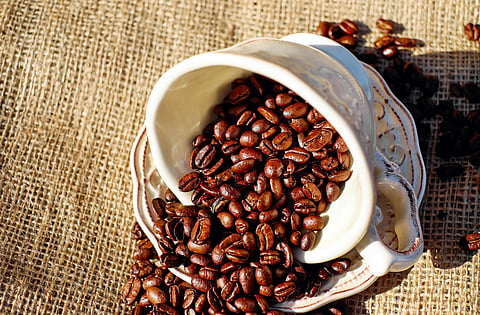 Este jueves disfruta ‘Paisajes del café’ en Morelia