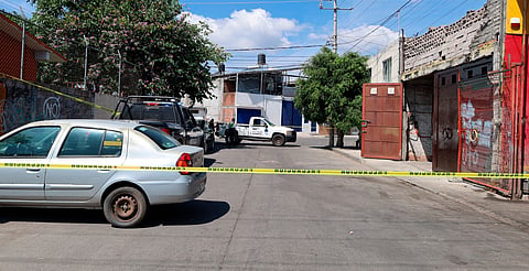 Inicia FGE investigación por muerte de perritos en Morelia; analizará sus cuerpos