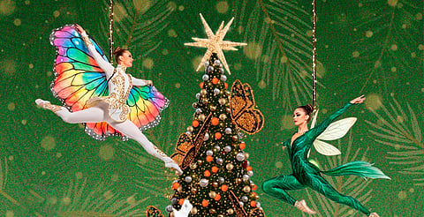 Morelia tendrá su primer encendido navideño... ¡antes de que llegue diciembre!