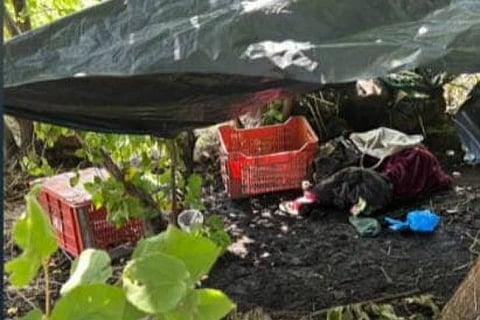 Desmantelan punto de "halconeo" en zona rural de Apatzingán, Michoacán 