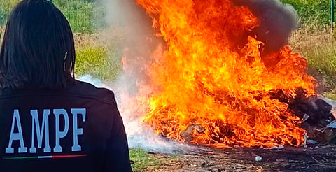 FGR incinera más de 300 kilos de drogas decomisadas en Michoacán