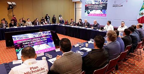 Aguacate de Michoacán contará con certificado laboral para exportación