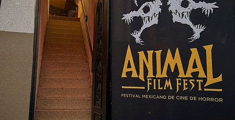 ¡Anímate! Convocan a cortometrajes de horror para ANIMAL Film Fest 2026 en Morelia