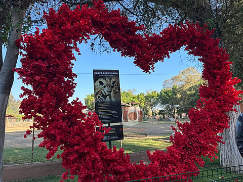 Conoce las actividades para celebrar el Amor y la Amistad
