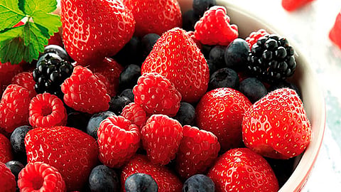 Aguacate, cerveza y berries: México presume liderazgo agroalimentario global rumbo al Super Bowl