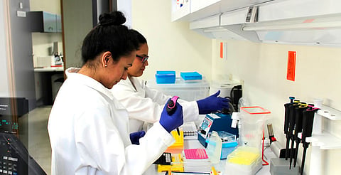 Persisten brechas de género en la ciencia por falta de referentes femeninos: UNAM