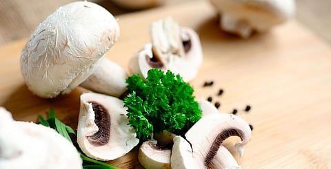 Aportan quitina, que favorece la salud del microbioma intestinal