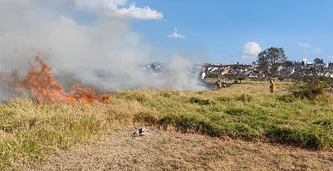 Incendio en Torreón Nuevo queda sin riesgo tras labores de bomberos: PC Municipal 