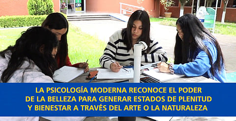 Reconocer la belleza es clave para el bienestar y el desarrollo social, explica filósofo