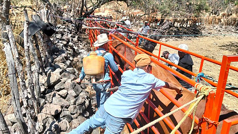 Con nueva infraestructura, fortalecen sanidad del ganado en Michoacán