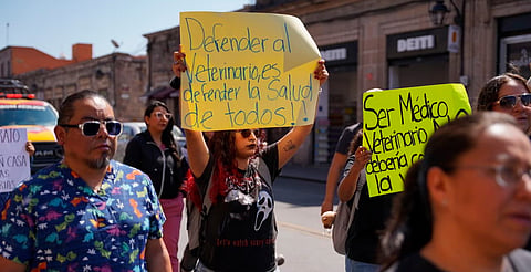Médicos veterinarios exigen reconocimiento y protección en protesta en Morelia