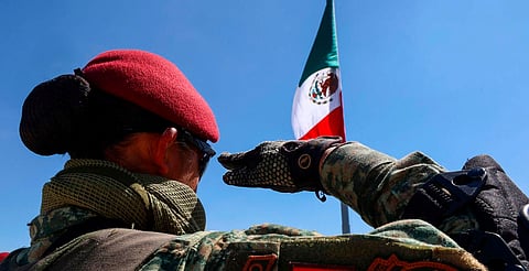 Llegan 2 mil militares a Jalisco para reforzar seguridad