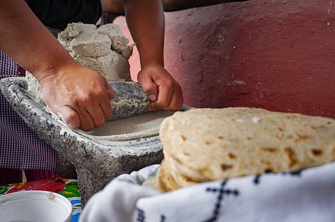 En América Latina, comer sano se ha convertido en un lujo: ONU