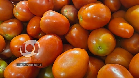 Sube precio de productos básicos: limón y jitomate encarecen en Morelia