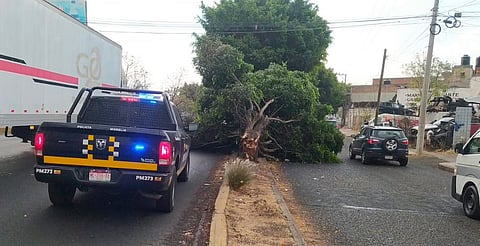 Policía Morelia ya atiende el reporte en la zona