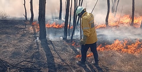 Incendio de pastizal moviliza a cuerpos de emergencia en Morelia