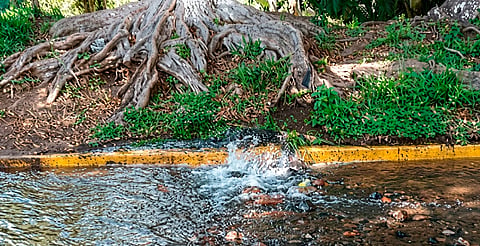 Hasta 40% del agua en Morelia se pierde por fugas y tomas clandestinas