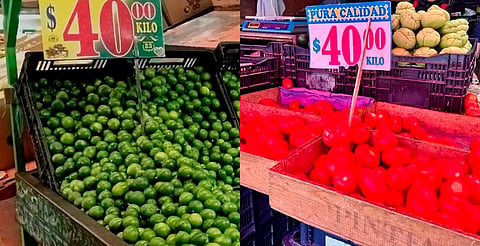 Mantiene Sedeco seguimiento al comportamiento del precio del jitomate y limón