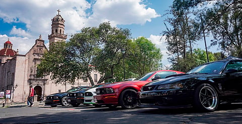 Mustang rugen en la Calzada San Diego durante exhibición en Morelia