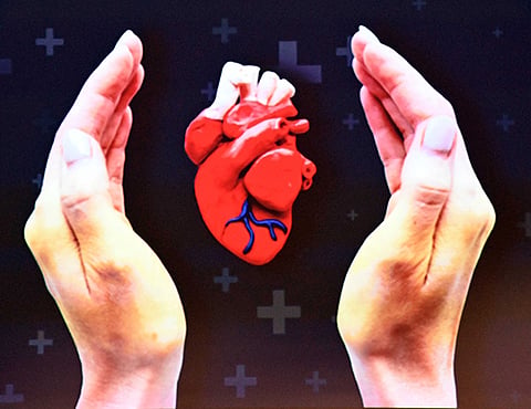 Salud cardiovascular: mujeres en mayor riesgo pese a tratamiento
