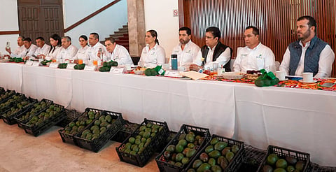 Aguacateros evitan pronunciarse sobre extorsiones; atribuyen tema a autoridades