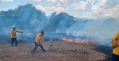 🔥 Piden apoyo para brigadistas que combaten incendios en Michoacán