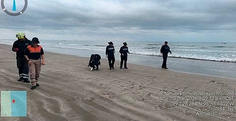 Recolectan 128 toneladas de residuos por hidrocarburo en costas de Veracruz y Tabasco