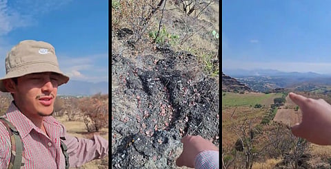Chavo halla huellas de dinosaurio en cerro de Lombardía, Michoacán