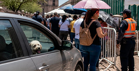 PC pide no dejar niños ni mascotas en autos durante canje para ver a El Buki