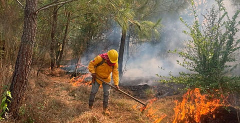 Incendio forestal en el Cerro del Estribo controlado en un 80 %