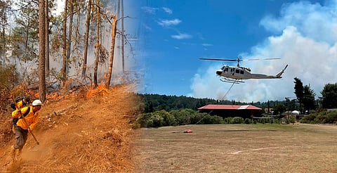 Con apoyo aéreo, 149 brigadistas combaten incendio forestal en Salvador Escalante: Cofom