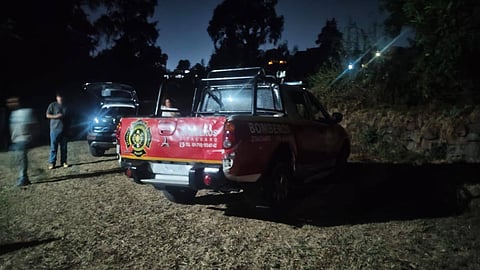 Rescatan a dos perros vivos de una pileta en Zitácuaro; hallan otros seis muertos