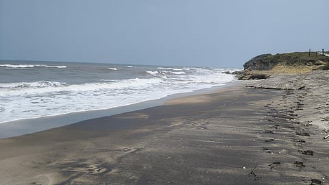 ¿Hay contaminación en playas del Golfo? Esto reveló el monitoreo de SEMARNAT