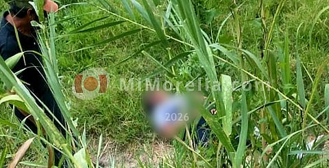 Jauría de perros ataca a mujer, en Uruapan, Michoacán 