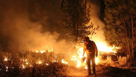 Incendios forestales en Michoacán podrían derivar en sanciones penales y reparación de daños