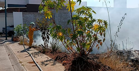 Se incendia pastizal cerca de viviendas en Morelia