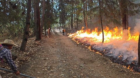 Comunidades y brigadas combaten incendios forestales en el oriente de Michoacán
