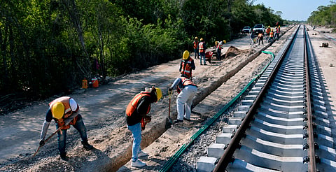 🚄 Más de 31 mil empleos y miles de kilómetros en obra: así avanzan los nuevos trenes de México